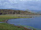tkm003_199039