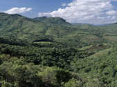 tkm003_199048
