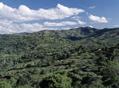 tkm003_199050