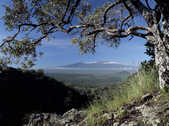 tkm003_199055