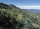 tkm003_199114