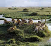 tkm003_199174