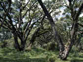 tkm003_199214