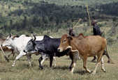 tkm003_199241