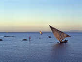 tkm003_199524