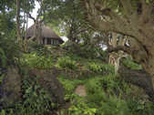 tkm003_199529