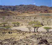 tkm003_199537
