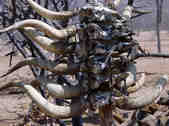 tkm003_200031
