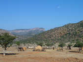 tkm003_200131