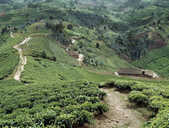 tkm003_200357