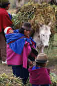 tkm003_200393