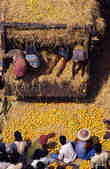 tkm003_200491
