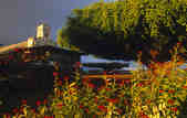 tkm003_200770