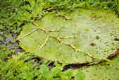 tkm003_200831