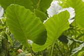 tkm003_200839