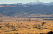 tkm003_200987