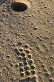 tkm003_201267