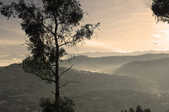 tkm003_201409