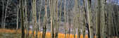tkm003_201429