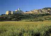 tkm003_202011