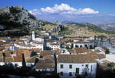 tkm003_203557