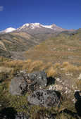 tkm003_204192