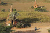 tkm003_205020