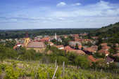 tkm003_206176