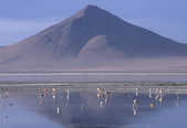 tkm003_207464