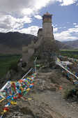 tkm003_208409