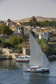 tkm003_208534