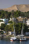 tkm003_208555