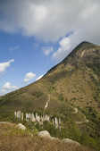 tkm003_208995
