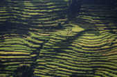 tkm003_209457