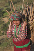 tkm003_209464