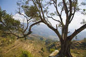 tkm003_209485