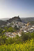 tkm003_210307