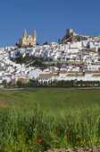 tkm003_210319