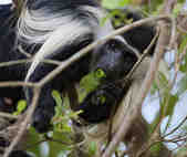 tkm003_211388