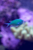 tkm003_540227