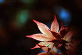 tkm003_540605