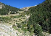 tkm003_541789