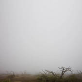 tkm003_546066