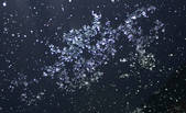tkm003_547147