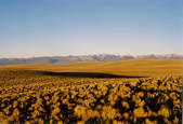 tkm003_547816