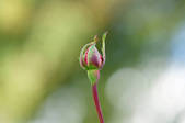 tkm003_549049