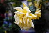 tkm003_550154