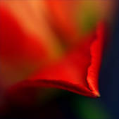 tkm003_550391