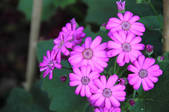 tkm003_550668