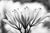 tkm003_551192